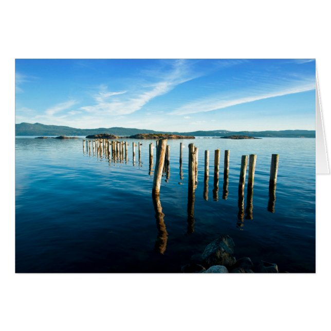 Myrtle Remnants (Vorderseite (Horizontal))