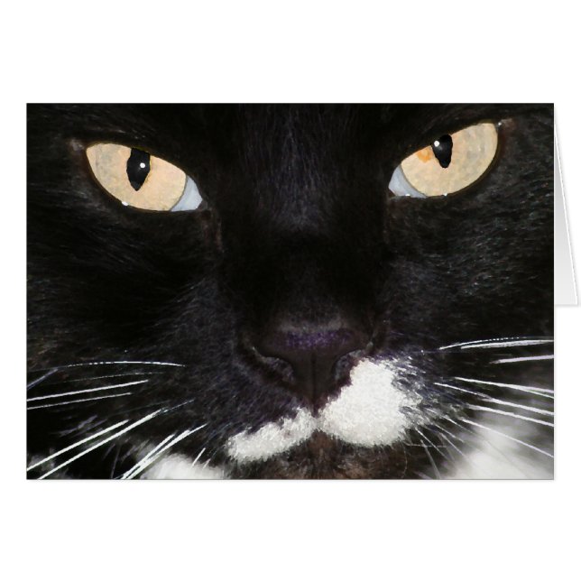 Mysteriös (Vorderseite (Horizontal))