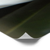 Mysteriös Magnolia Poster (Ecke)