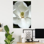 Mysteriös Magnolia Poster (Heimbüro)
