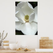 Mysteriös Magnolia Poster (Küche)