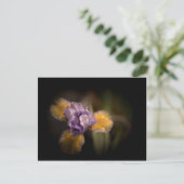 Mysteriöse Iris Postkarte (Stehend Vorderseite)