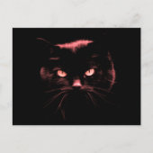 Mysteriöse Katze Postkarte (Vorderseite)