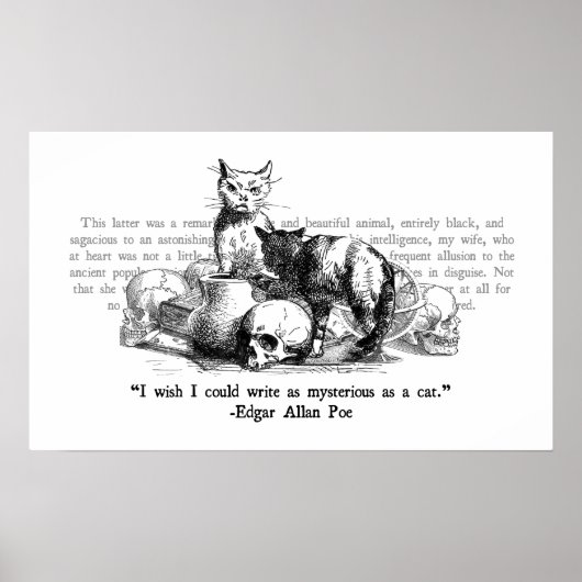 Mysteriöse Katzen Poster (Vorne)