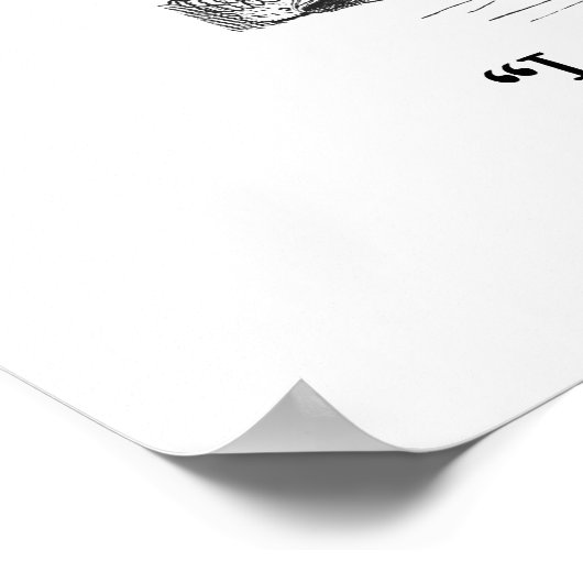 Mysteriöse Katzen Poster (Ecke)