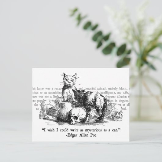 Mysteriöse Katzen Postkarte (Stehend Vorderseite)