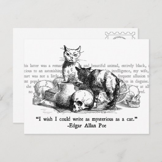 Mysteriöse Katzen Postkarte (Vorne/Hinten)