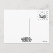 Mysteriöse Katzen Postkarte (Rückseite)