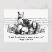 Mysteriöse Katzen Postkarte (Vorderseite)
