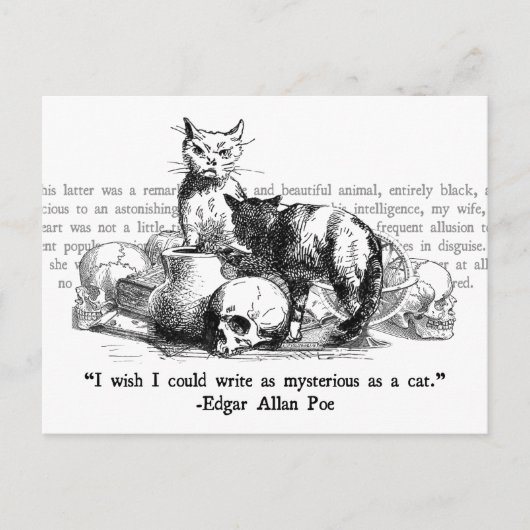 Mysteriöse Katzen Postkarte (Vorderseite)