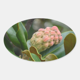 Mysteriöse Natur: Magnolia Pod Ovaler Aufkleber