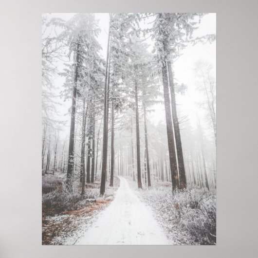 Mysteriöse Straße in einem gefrorenen Nebelwald Poster (Vorne)