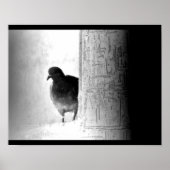 Mysteriöse Taube Poster (Vorne)