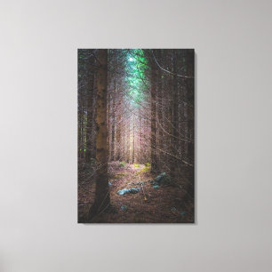 Mysteriöser Fichtenwald Leinwanddruck