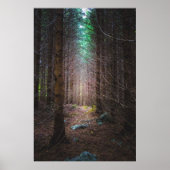 Mysteriöser Fichtenwald Poster (Vorne)