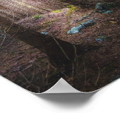 Mysteriöser Fichtenwald Poster (Ecke)