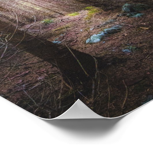 Mysteriöser Fichtenwald Poster (Ecke)