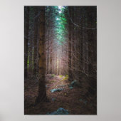 Mysteriöser Fichtenwald Poster (Vorne)