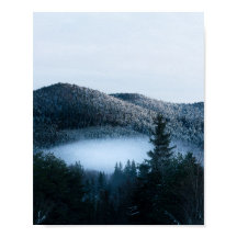 Mysteriöser Nebel, der im Wintersprudelwald gefang