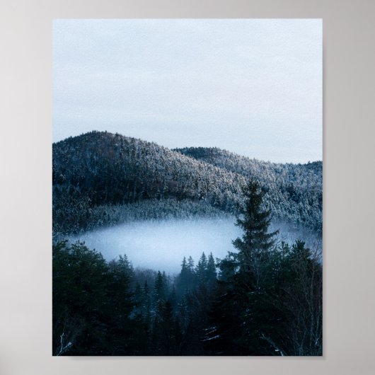 Mysteriöser Nebel, der im Wintersprudelwald gefang Poster (Vorne)