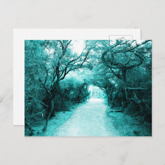 Mysteriöser Pfad, Mondlichtweg, Bäume Postkarte (Vorne/Hinten)