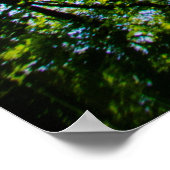 Mysteriöser Pfad  Poster (Ecke)