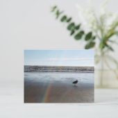 Mysteriöser Regenbogen Postkarte (Stehend Vorderseite)