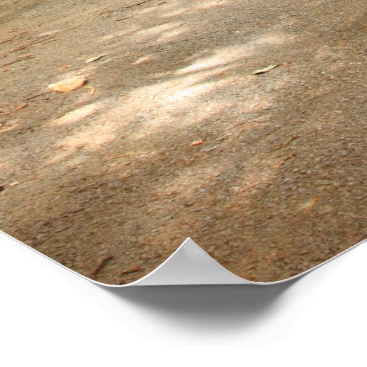 Mysteriöser Waldweg Poster (Ecke)