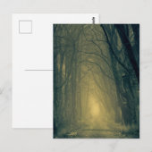 Mysteriöses gelbes Licht im Wald Postkarte (Vorne/Hinten)
