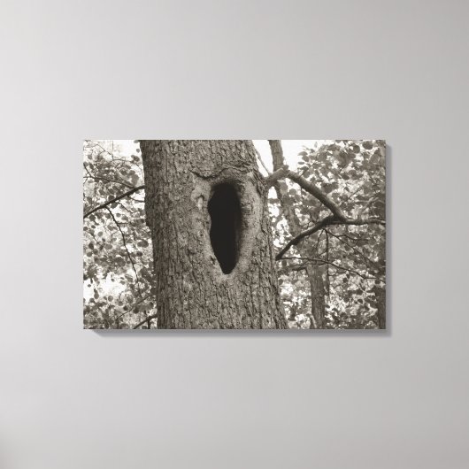 Mysteriöses Loch (Sepia) Leinwanddruck (Vorderseite)