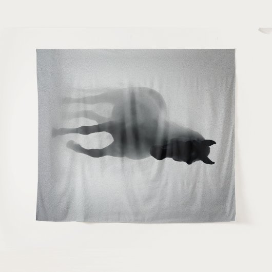 Mysteriöses Schwarzes Pferd, das aus dem Nebst auf Wandteppich (Vorderseite (Horizontal))