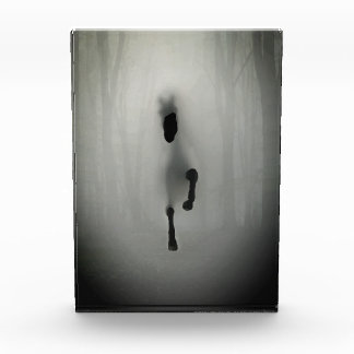 Mysterious Black Horse Running in Misty Fog Forest Fotoblock