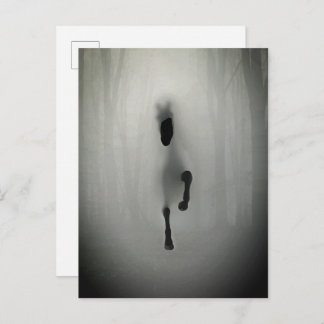 Mysterious Black Horse Running in Misty Fog Forest Postkarte