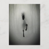 Mysterious Black Horse Running in Misty Fog Forest Postkarte (Vorderseite)
