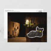 Mysterious Cat Postkarte (Vorne/Hinten)