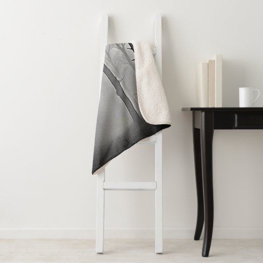 Mysterious Foggy Forest Path Sherpadecke (Beispiel)