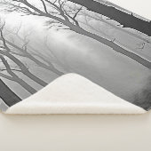 Mysterious Foggy Forest Path Sherpadecke (3/4)