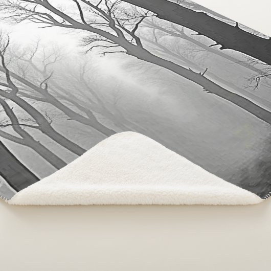 Mysterious Foggy Forest Path Sherpadecke (3/4)