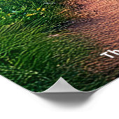 Mysterious Houses of Donnelly - No4 Mombasa Kenya Poster (Ecke)