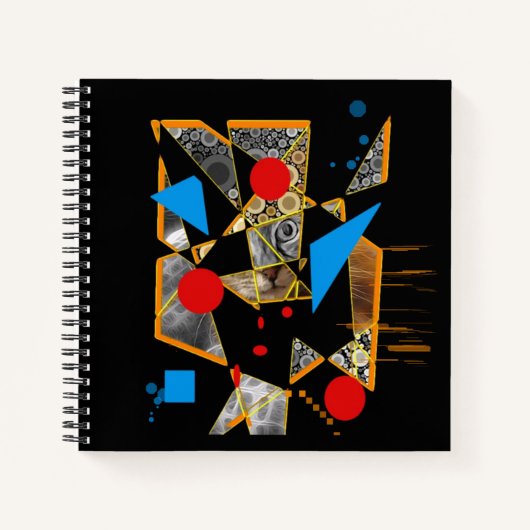 Mystery Cat Notizblock (Vorderseite)