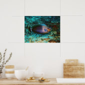 Mystery Fish Poster (Küche)