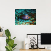 Mystery Fish Poster (Heimbüro)