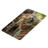 Mystery - magnet (Linke Seite)