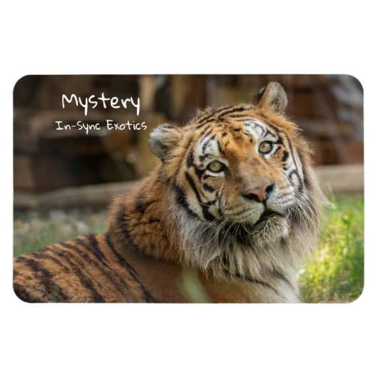 Mystery - magnet (Horizontal)