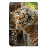 Mystery - magnet (Vertikal)