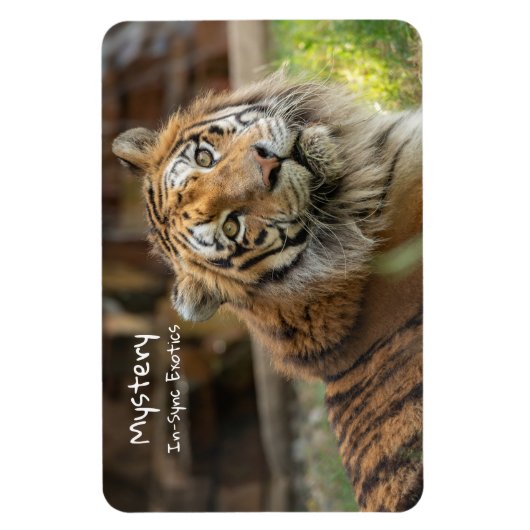 Mystery - magnet (Vertikal)