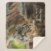 Mystery - sherpadecke (Vorderseite)