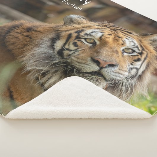 Mystery - sherpadecke (3/4)