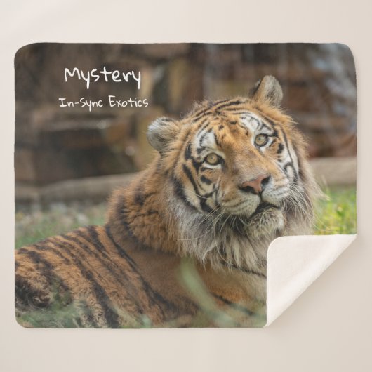 Mystery - sherpadecke (Vorderseite (Horizontal))