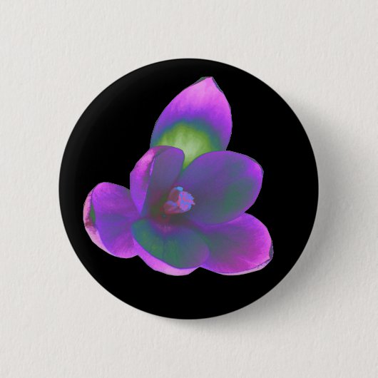 Mystic Beauty Crocus Blume Button (Vorderseite)